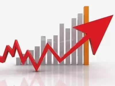 一季度盈利势头强劲 头部纸企“两条腿走路”策略显成效